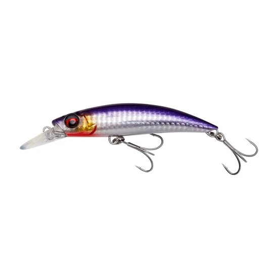 Savage Gear Gravity Runner 10 Cm 55 G Anchois Sanglant Coulant Extra Rapidement PHP 1 Savage Gear Gravity Runner 10 Cm 55 G Anchois Sanglant Coulant Extra Rapidement PHP