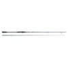 Savage Gear SGS2 Long Casting 2.90m F 15-50g MH