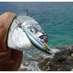 Savage Gear Gravity Minnow 5cm 8g Naufrage Rapide Sayoris PHP -Savage Gear Pêche Pas Cher Magasin sgk227 1 550x550 1